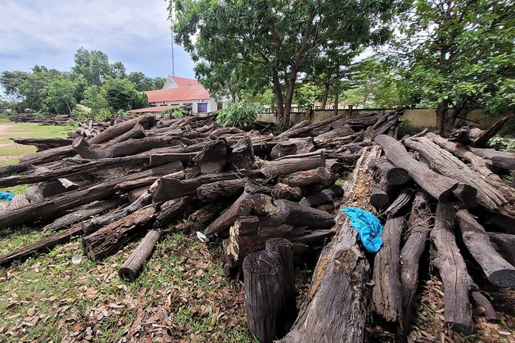 Hơn 1.000 m3 gỗ đang được để ở bãi đất ngoài trời. Hơn 1.000 m3 gỗ đang được để ở bãi đất ngoài trời.