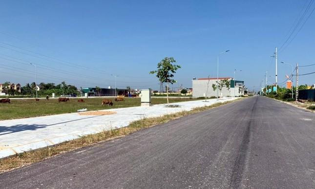 UBND tỉnh Thanh Hóa khuyến khích lựa chọn hình thức đấu giá trực tuyến tại các cuộc đấu giá quyền sử dụng đất trong bối cảnh dịch bệnh diễn biến phức tạp. Ảnh minh họa.