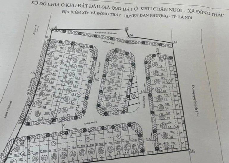 Sơ đồ 48 thửa đất được đưa ra đấu giá ở khu chăn nuôi xã Đồng Tháp, huyện Đan Phượng, Hà Nội.
