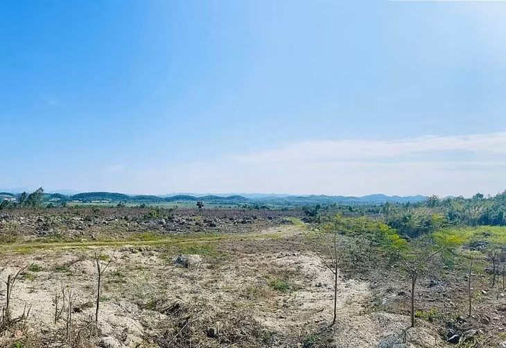 Dự án đầu tư xây dựng Trung tâm giống lợn quốc tế (tại xã Kỳ Phú tại xã Kỳ Phú, huyện Nho Quan) của Công ty Cổ phần giống chăn nuôi miền Bắc được giao đất từ năm 2010 với tổng diện tích trên 65ha. Tuy nhiên, đã 12 năm trôi qua dự án này vẫn “giẫm chân tại chỗ”.