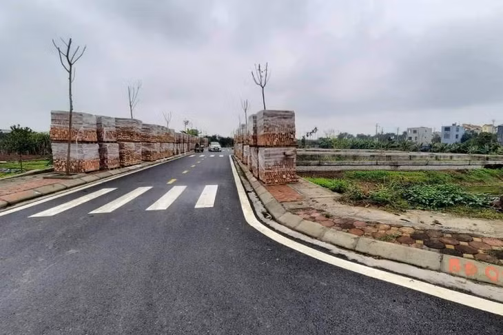 Khu đất được đưa ra đấu giá ở huyện Đan Phượng, Hà Nội