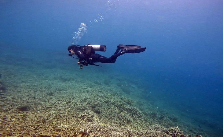 San hô ở khu vực biển Hòn Mun (Nha Trang) hầu như không còn để du khách chiêm ngưỡng