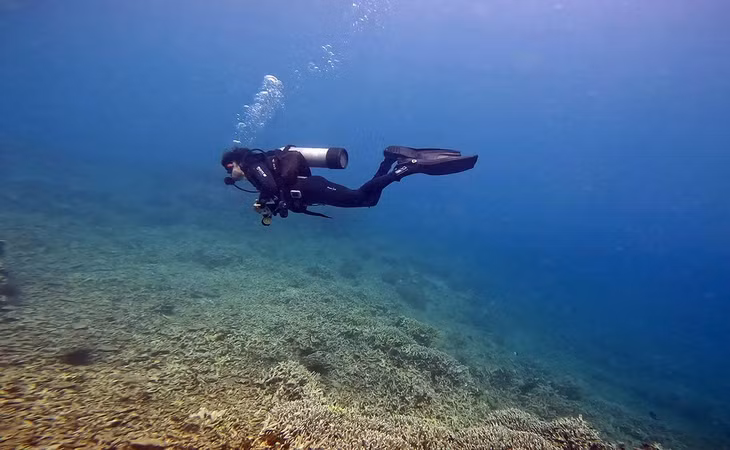 San hô ở khu vực biển Hòn Mun (Nha Trang) hầu như không còn để du khách chiêm ngưỡng