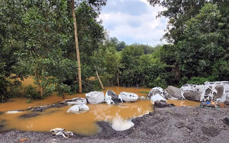 Công ty CP Thương mại dịch vụ Đông Á bị phạt 220 triệu đồng vì vi phạm xả thải gây ô nhiễm. Ảnh minh họa