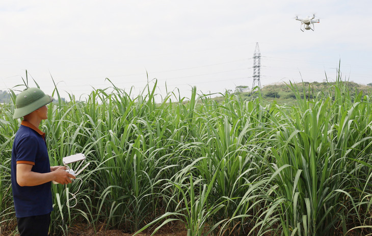 Thông qua cảm biến từ drone và vệ tinh, dự án sẽ thu thập dữ liệu về sức khỏe và thuộc tính của cây trồng, sau đó xử lý bằng trí tuệ nhân tạo để phân loại Thông qua cảm biến từ drone và vệ tinh, dự án sẽ thu thập dữ liệu về sức khỏe và thuộc tính của cây trồng, sau đó xử lý bằng trí tuệ nhân tạo để phân loại