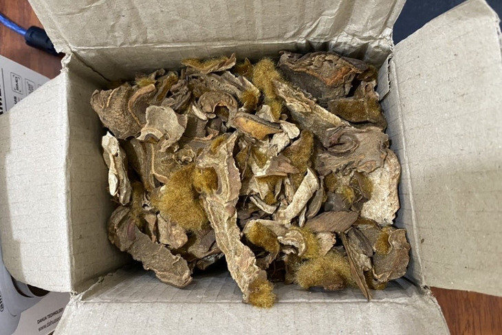 Khoảng 11 tấn cẩu tích thái lát, sấy khô bị phát hiện và thu giữ hồi cuối tháng 4