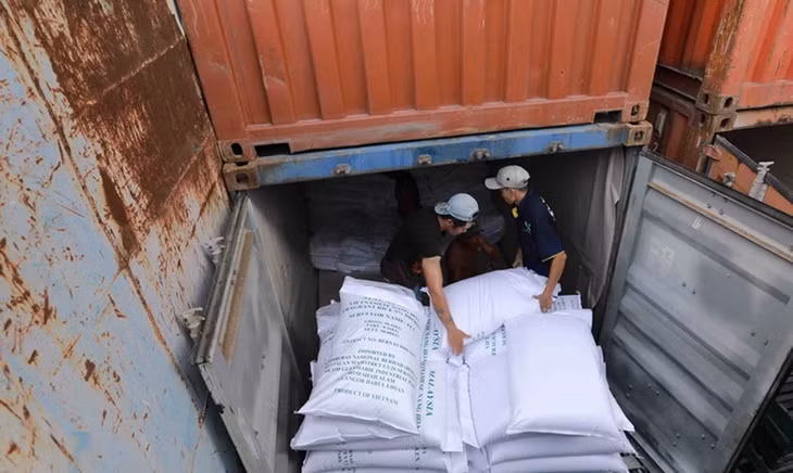 7 tháng năm 2024, giá trị gạo xuất khẩu tăng hơn 25% so với cùng kỳ năm ngoái