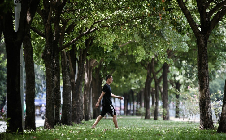 Công viên cây xanh ven bờ kênh Nhiêu Lộc - Thị Nghè là điểm dừng chân, nghỉ mát của người đi đường Công viên cây xanh ven bờ kênh Nhiêu Lộc - Thị Nghè là điểm dừng chân, nghỉ mát của người đi đường