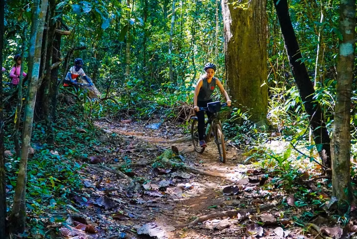 Du khách đạp xe dưới tán rừng Mã Đà