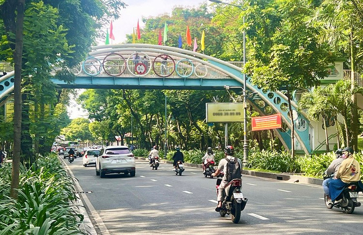 Cầu đi bộ băng qua đường Phan Thúc Duyện