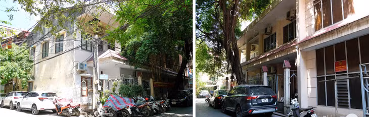 Quận Đống Đa có 1 cơ sở là Công ty TNHH MTV Nhà xuất bản Nông nghiệp, địa chỉ tại số 167/6 phố Phương Mai, diện tích hơn 800m2, hiện là văn phòng làm việc