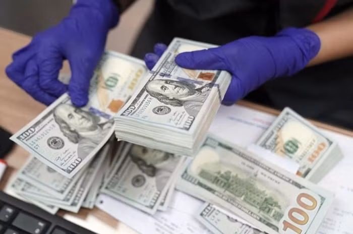 Ngân hàng Nhà nước sẽ tăng tần suất bán ngoại tệ. Ảnh minh họa