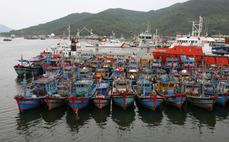 Tàu thuyền neo đậu tại chân cầu Mân Quang, quận Sơn Trà (TP. Đà Nẵng)