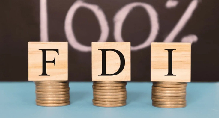 Hơn một nửa doanh nghiệp FDI báo lỗ năm 2023. Ảnh minh họa