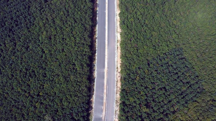 Khu đất của Tổng công ty Thương mại Xuất nhập khẩu Thanh Lễ được UBND tỉnh Bình Dương giao cho Trung tâm Phát triển quỹ đất tỉnh Bình Dương quản lý