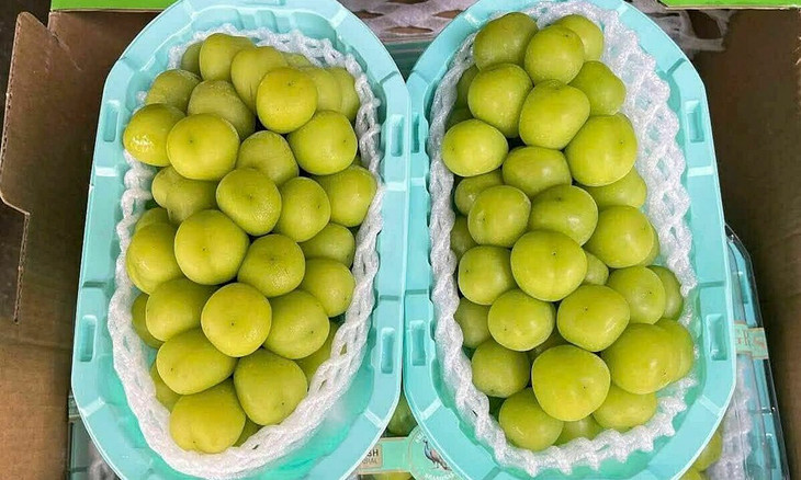 Nho mẫu đơn Trung Quốc được bán 110.000 đồng 2 hộp (1 - 1,2kg)