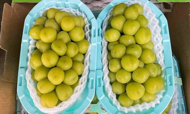 Nho mẫu đơn Trung Quốc được bán 110.000 đồng 2 hộp (1 - 1,2kg)