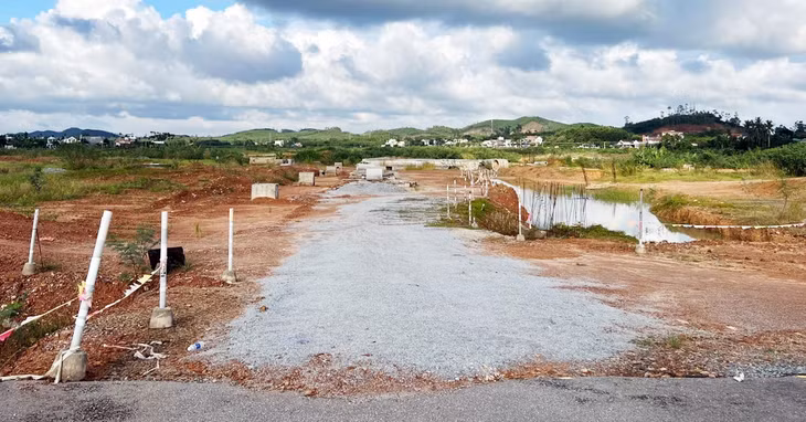 Công ty TNHH MTV Phát triển đô thị Quảng Ngãi san lấp trái phép gần 32.000 m2 đất lúa, đất trồng cây hàng năm để làm khu dân cư