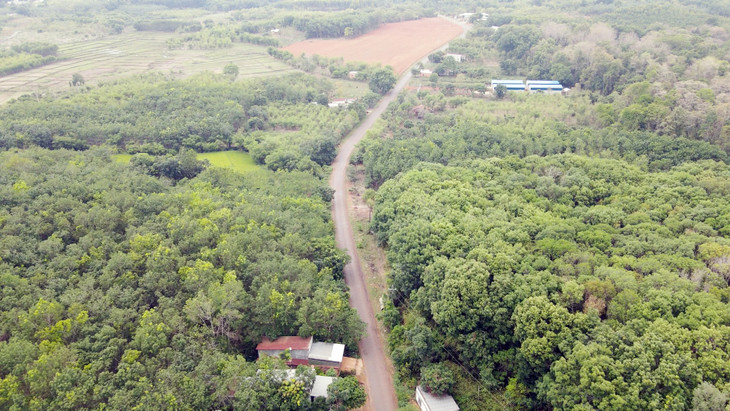 Bình Phước quy hoạch sân bay Hớn Quản dự kiến rộng 350 ha