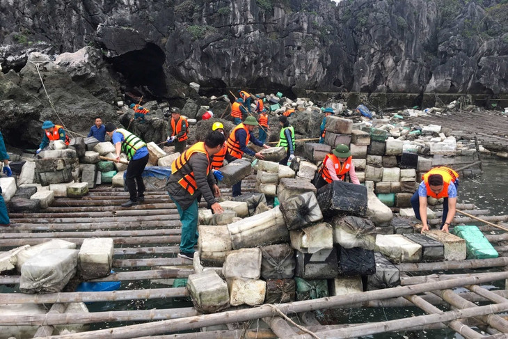 TP. Cẩm Phả ra quân thu gom phao xốp trôi nổi trên biển