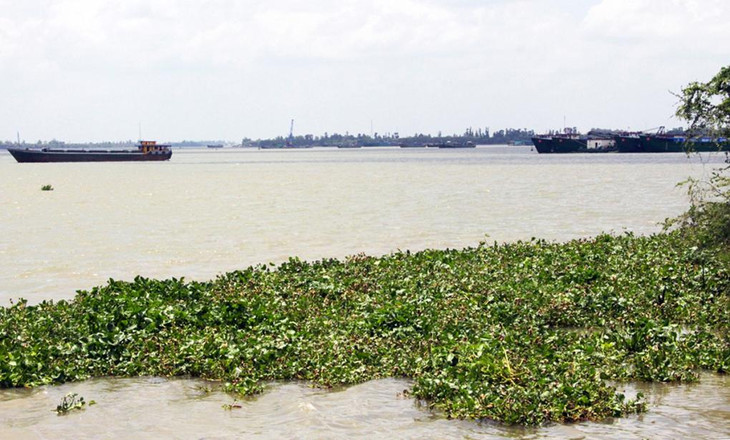 Khu vực sông Tiền, tại huyện Chợ Mới, có mỏ cát được đấu giá