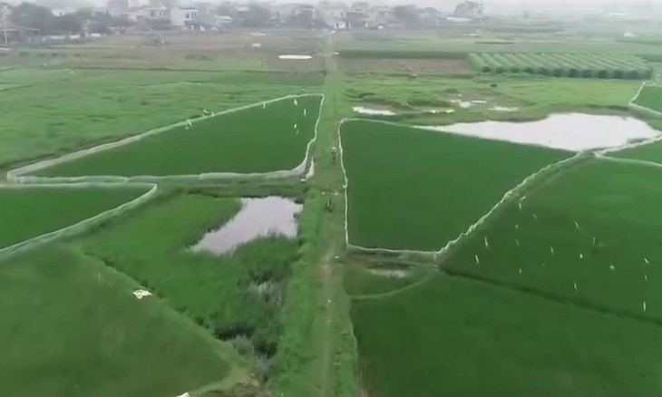 Thanh tra Bộ Tài nguyên và Môi trường đề nghị UBND tỉnh Thái Nguyên kiểm tra đối với Dự án Khu nhà ở Thăng Long tại phường Túc Duyên (TP.Thái Nguyên) sau phản ánh đất chưa &quot;sạch&quot; đã bán đấu giá. Được biết, hiện nay khu đất dự án vẫn là cánh đồng trồng lúa.