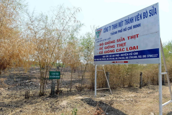 TP.HCM cần thêm cơ chế đặc thù để thu hồi đất, giải phóng mặt bằng