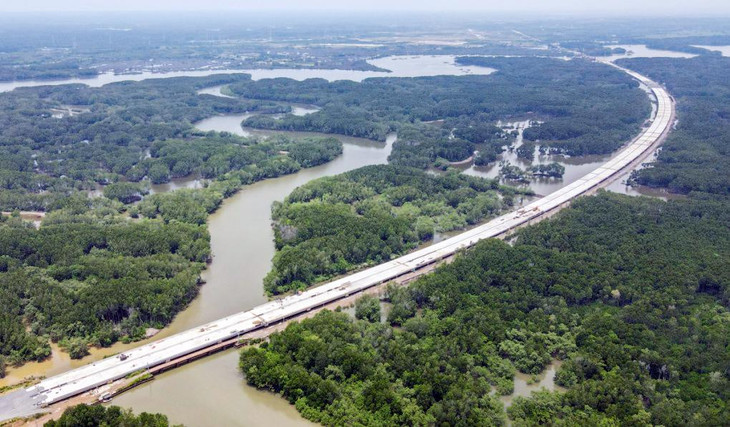 Cao tốc đoạn chạy qua rừng ngập mặn ở huyện Long Thành, Đồng Nai