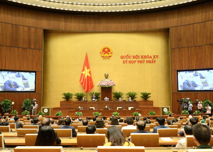 Quốc hội đồng ý trao cơ chế đặc biệt để Chính phủ và Thủ tướng chống đại dịch Covid-19 ảnh 1