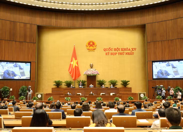 Quốc hội đồng ý trao cơ chế đặc biệt để Chính phủ và Thủ tướng chống đại dịch Covid-19 ảnh 1