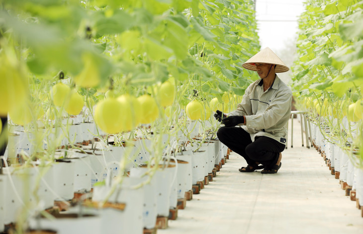 Công ty cung cấp các thiết bị, các giải pháp và ứng dụng phục vụ cho cá nhân, hộ gia đình, doanh nghiệp và Chính phủ.