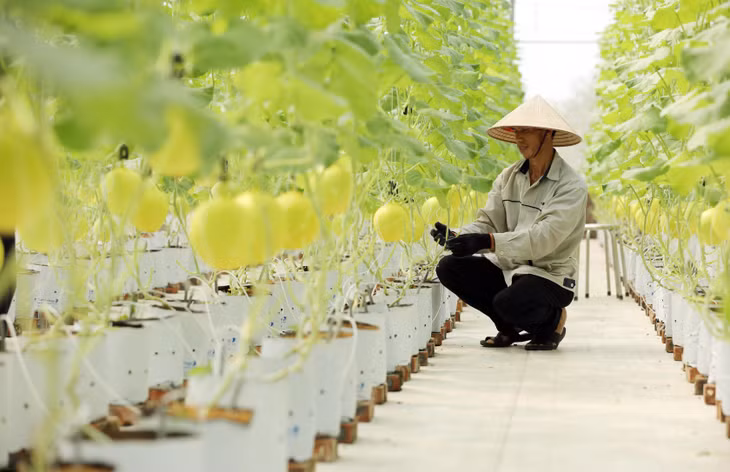 Công ty cung cấp các thiết bị, các giải pháp và ứng dụng phục vụ cho cá nhân, hộ gia đình, doanh nghiệp và Chính phủ.