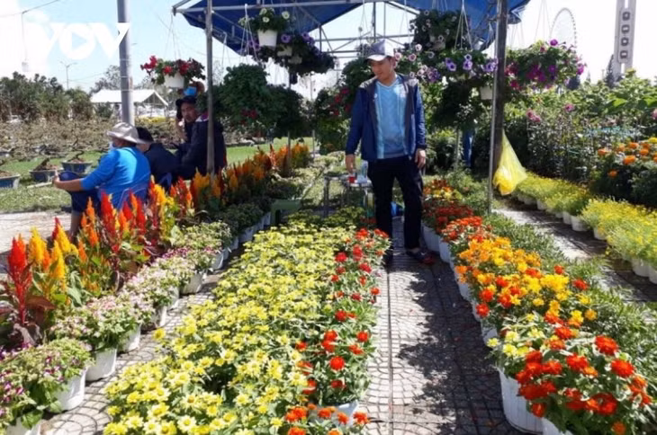 Chợ hoa Tết Nhâm Dần năm 2022 tổ chức khu vực Quảng trường 2/9, từ ngày 22/1 - 21h ngày 31/1 (tức từ ngày 20 đến hết ngày 29 tháng Chạp).