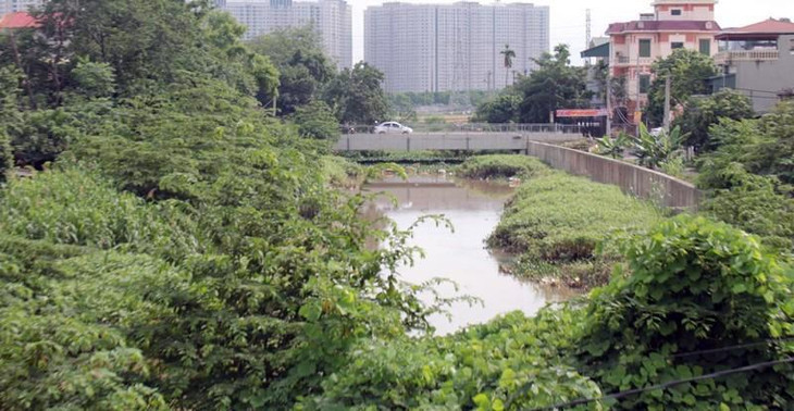 Thậm chí, nhiều đoạn cây bụi um tùm phủ kín cả lòng kênh dẫn.