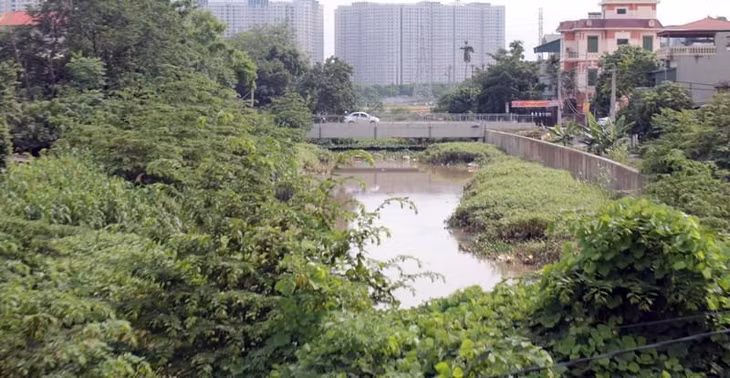 Thậm chí, nhiều đoạn cây bụi um tùm phủ kín cả lòng kênh dẫn.