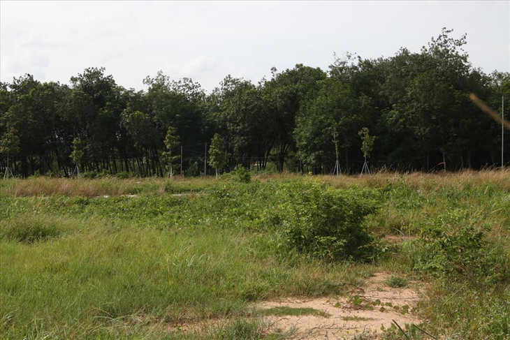 Ghi nhận thực tế, dự án được lập lên từ đầu năm 2018, cho đến nay đã hơn 4 năm trôi qua. Tuy nhiên, dự án chỉ có chiếc cổng là khang trang, phía bên trong chỉ có con đường chính là được trải nhựa. Bên trong cỏ mọc um tùm, xung quanh là đất nông nghiệp trồng cây cao su của người dân.