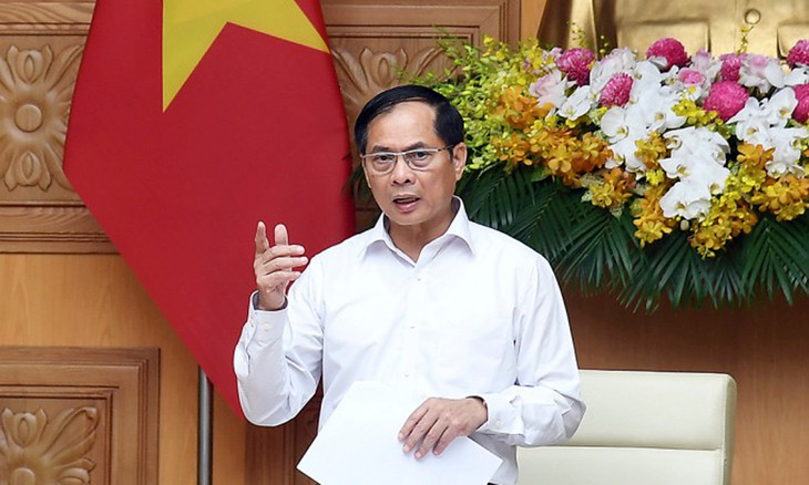 Phó Thủ tướng Bùi Thanh Sơn phát biểu tại cuộc họp, ngày 19/5