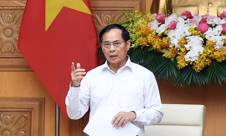 Phó Thủ tướng Bùi Thanh Sơn phát biểu tại cuộc họp, ngày 19/5