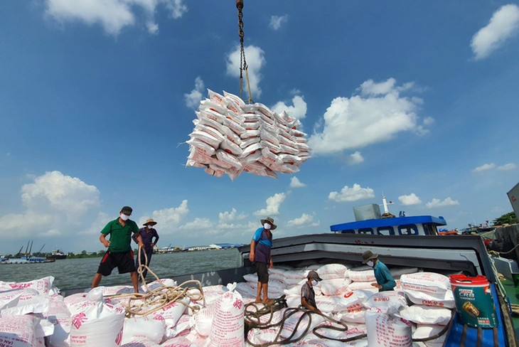 Giá gạo xuất khẩu của Việt Nam giảm 15 USD/tấn