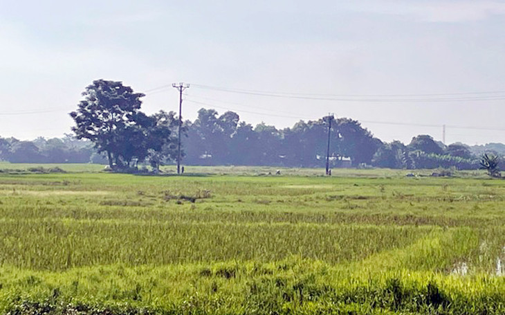 Hiện trạng khu đất vừa có quyết định đấu giá Hiện trạng khu đất vừa có quyết định đấu giá