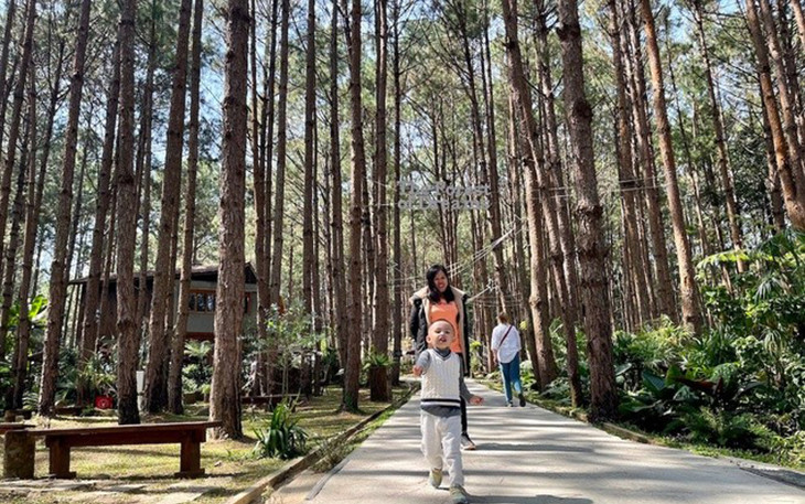 Một địa điểm kinh doanh du lịch có môi trường rừng tại TP. Đà Lạt Một địa điểm kinh doanh du lịch có môi trường rừng tại TP. Đà Lạt
