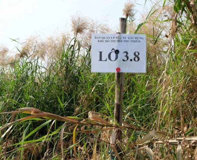 Hai doanh nghiệp này liên quan đến Tập đoàn Vạn Thịnh Phát đằng sau cuộc đấu giá đất Thủ Thiêm.