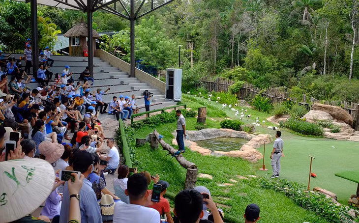 Du khách tham quan vườn thú ở Phú Quốc