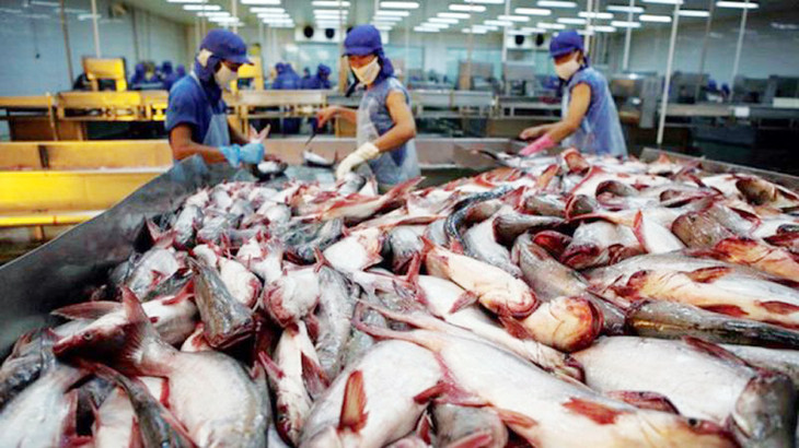 Việt Nam là nhà cung cấp cá thịt trắng lớn thứ hai cho Mỹ