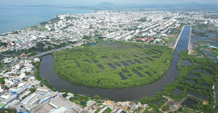 Toàn cảnh rừng ngập mặn rộng hơn 32 ha ở TP. Phan Thiết