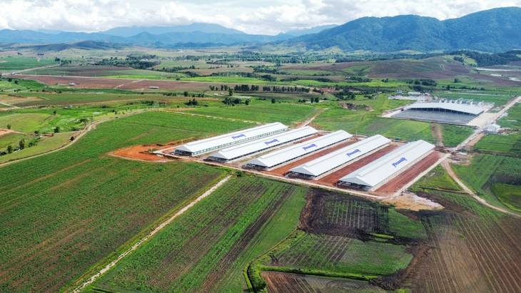 Trang trại Vinamilk Lào – Jagro tại cao nguyên Xiêng Khoảng (Lào) có tổng mức đầu tư giai đoạn một là 150 triệu USD.