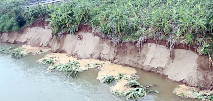 Sạt lở bờ sông tại khu 13, 14 xã Dân Quyền, huyện Tam Nông (Phú Thọ) Sạt lở bờ sông tại khu 13, 14 xã Dân Quyền, huyện Tam Nông (Phú Thọ)