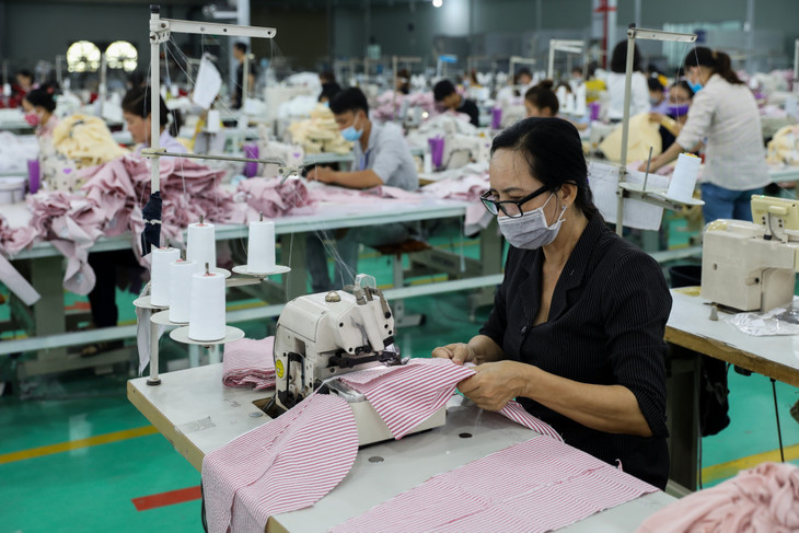 Công nhân làm việc trong một công ty may ở Khu công nghiệp Tân Đô, Long An