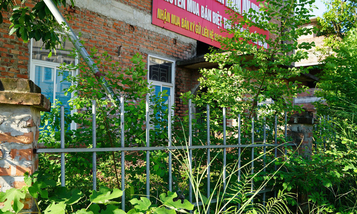 Lối vào một số căn biệt thự đơn lập bị bỏ hoang bị bịt kín bởi cây, cỏ dại.