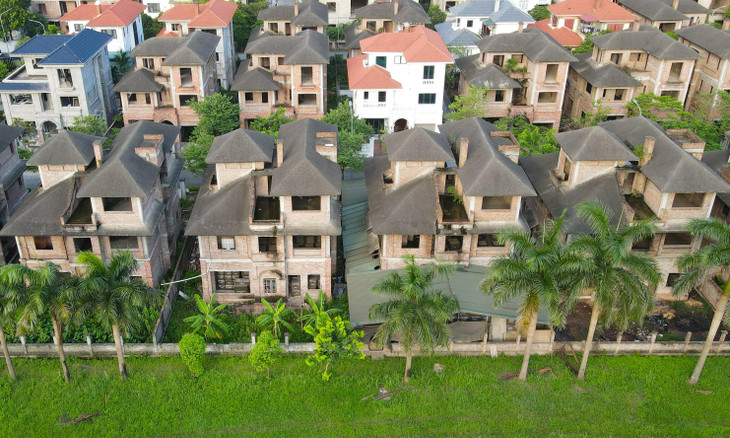 Được biết, khu biệt thự Hoa Phượng do 3 công ty bao gồm Công ty TNHH Ứng dụng và Phát triển Công nghệ AVN, Công ty Kinh doanh Vật tư Thiết bị và Công ty CP Lý Hùng làm chủ đầu tư. Mỗi công ty đầu tư một lô trong 3 lô đất của dự án.